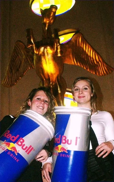 Red Bull geeft je vleugels! | 2010/11 - Breda Series of Poker - 1000 eu NLFO Main Event
